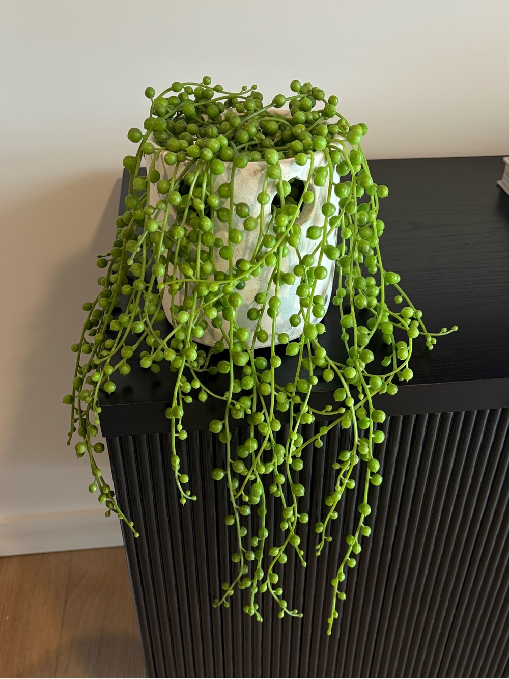 Green Trailing Faux String of Pearls Plant in White Ceramic Pot - Home Accents
